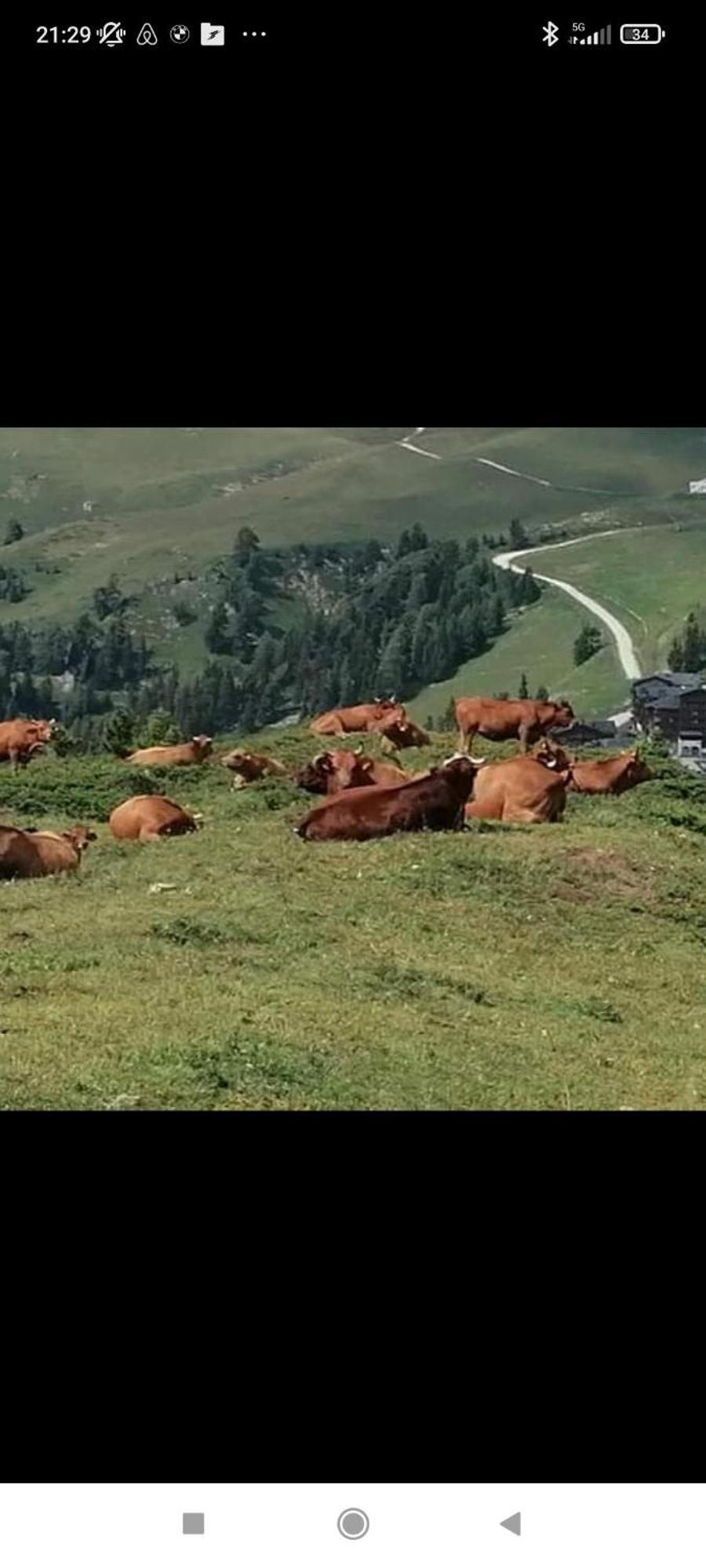 Studio Au Pied Des Pistes Avec Vue Sur La Montagne Mieussy Экстерьер фото